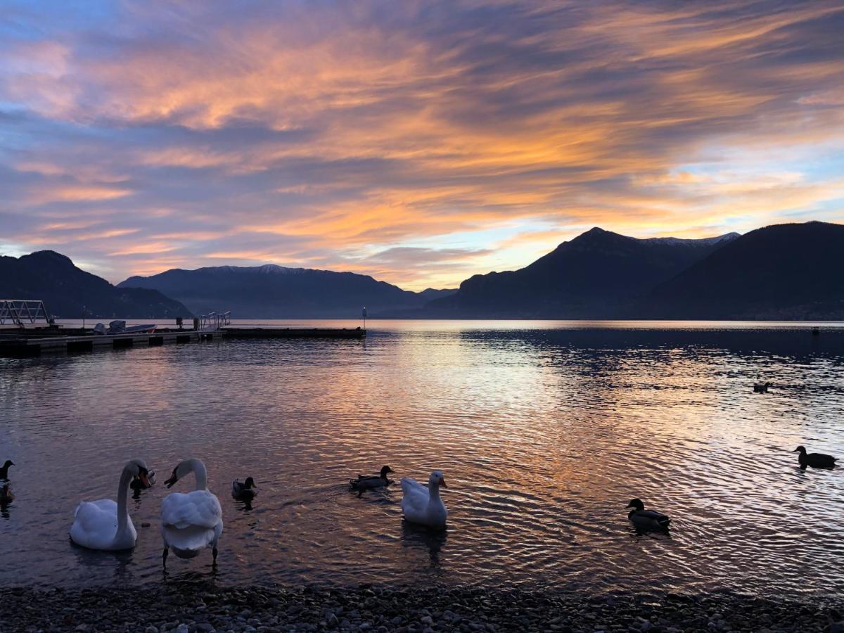 Bellavista Giulia On Lake Como Dervio Buitenkant foto